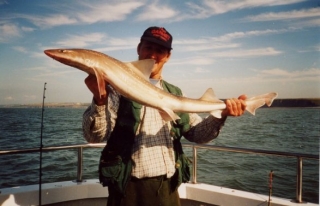  a peixe captura